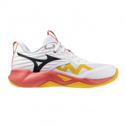 MIZUNO WAVE MOMENTUM PRO