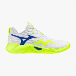 MIZUNO WAVE MOMENTUM PRO