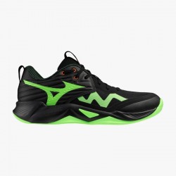 MIZUNO WAVE MOMENTUM PRO
